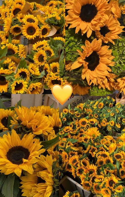 tag someone who likes sunflowers