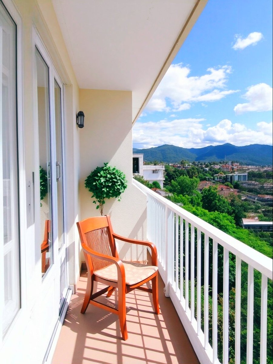 kachhua (@onlypostx) on Twitter photo 