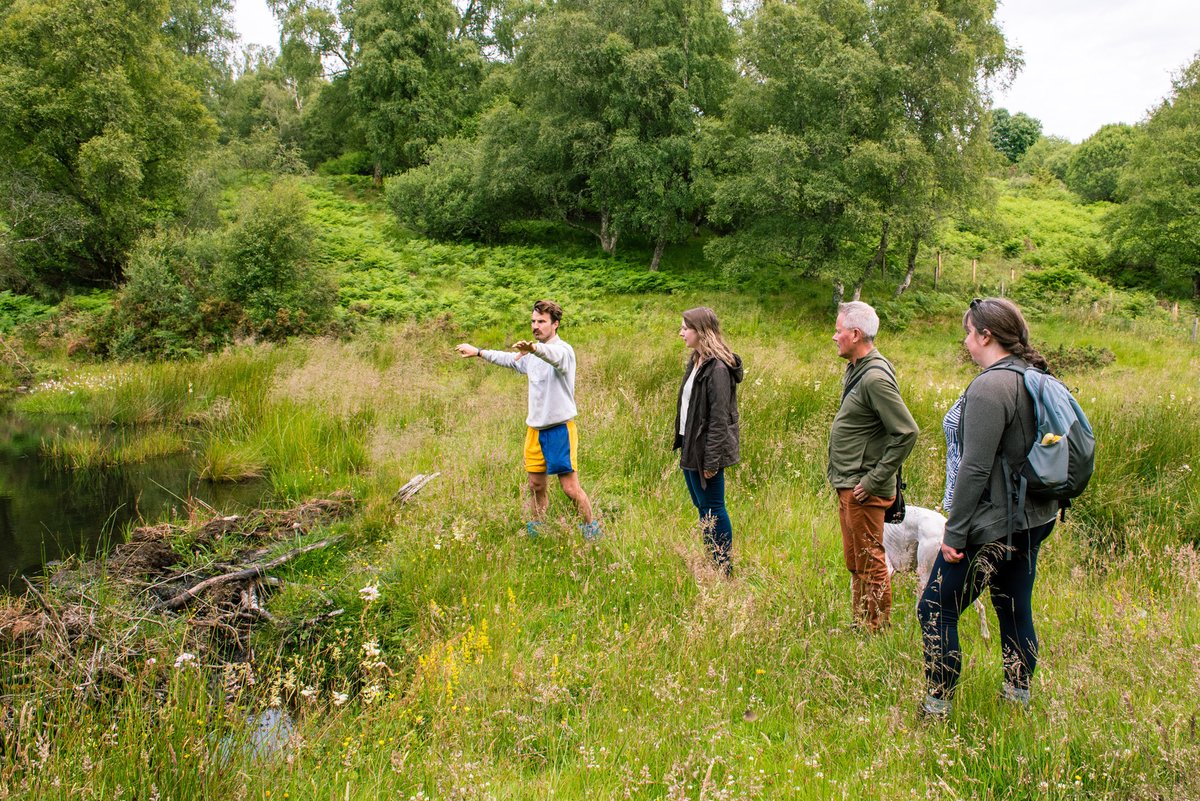 ScotRewilding's tweet image. 🦫 Yesterday, we had the pleasure of welcoming @EmmaRoddickSNP to two inspiring rewilding sites in her region: South Clunes Farm and @AbriachanForest Trust – both members of the Northwoods Rewilding Network, coordinated by SRA member @ScotlandTBP.
At South Clunes, a regenerative…