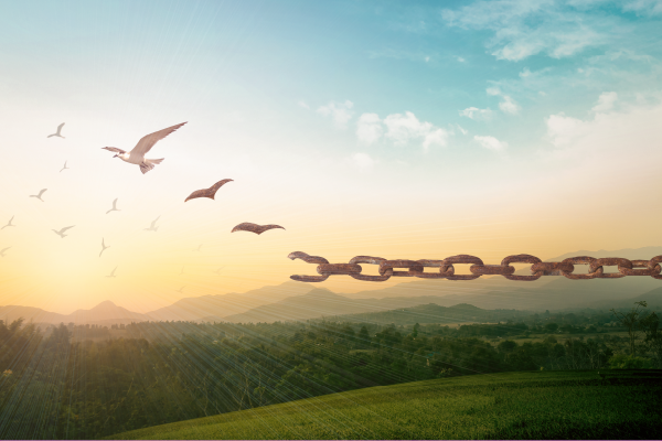 Change is Hard, Changing Habits is Harder: Effective Strategies for Changing and Maintaining Habits [Webinar] dlvr.it/TLqK5W