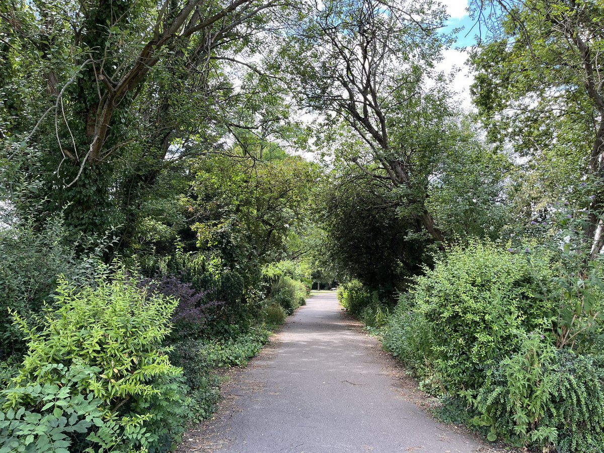 BBCTomEdwards's tweet image. Harrow Council advises people not to sit or congregate under large trees due to an increase in fallen branches. “Sudden branch drop syndrome” is increasing probably due to climate change. @TreesforCities says need to start looking after trees. More @BBCLondonNews 1830