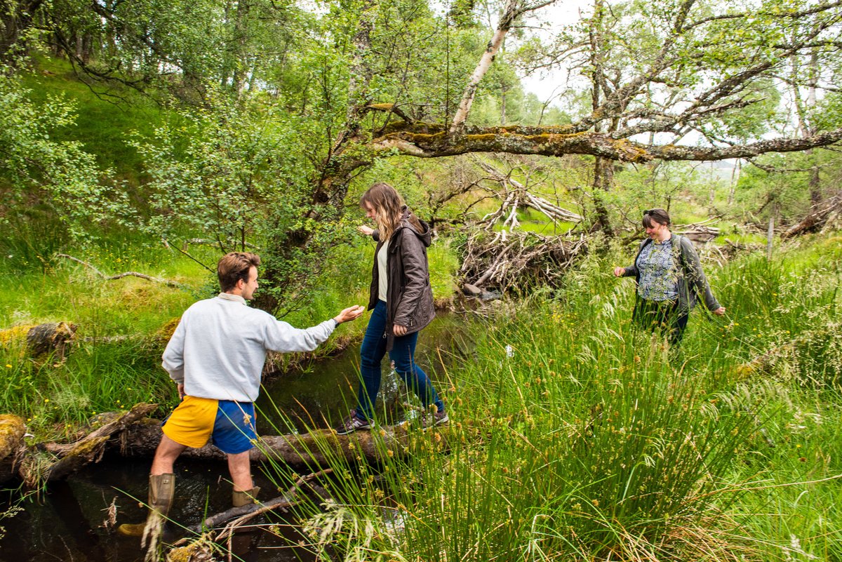 ScotRewilding's tweet image. 🦫 Yesterday, we had the pleasure of welcoming @EmmaRoddickSNP to two inspiring rewilding sites in her region: South Clunes Farm and @AbriachanForest Trust – both members of the Northwoods Rewilding Network, coordinated by SRA member @ScotlandTBP.
At South Clunes, a regenerative…