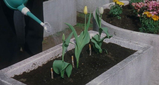 太傅 —🧧 tweet media