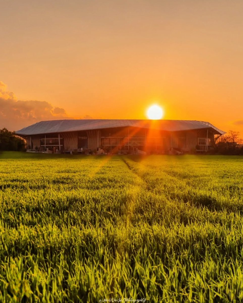 Tel un petit bonhomme rayonnant, semblable à un soleil émergeant des flots, l'âme lyonnaise demeure malgré les assauts malveillants qui cherchent à l'affaiblir. Plus les adversaires sont nombreux, plus la victoire est belle 🦁 🔴 🔵

 ©️ Ninoversalphotography
(Instagram/Facebook)
