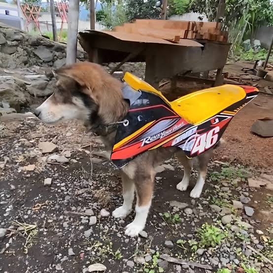 bloomphase tweet media