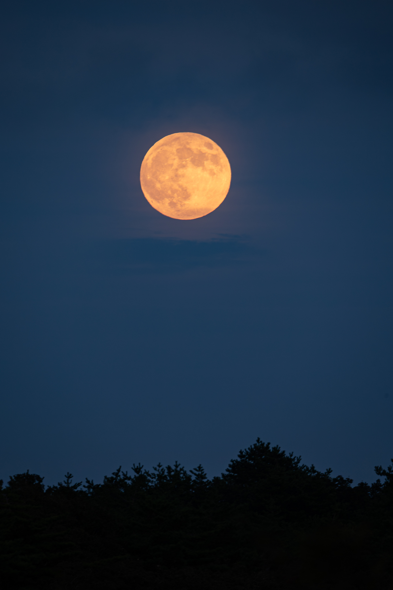 ✨満月✨ ⭐︎ Full Moon and Embraer E190 ✈️ Worm Moon 🌕 満月（月齢
