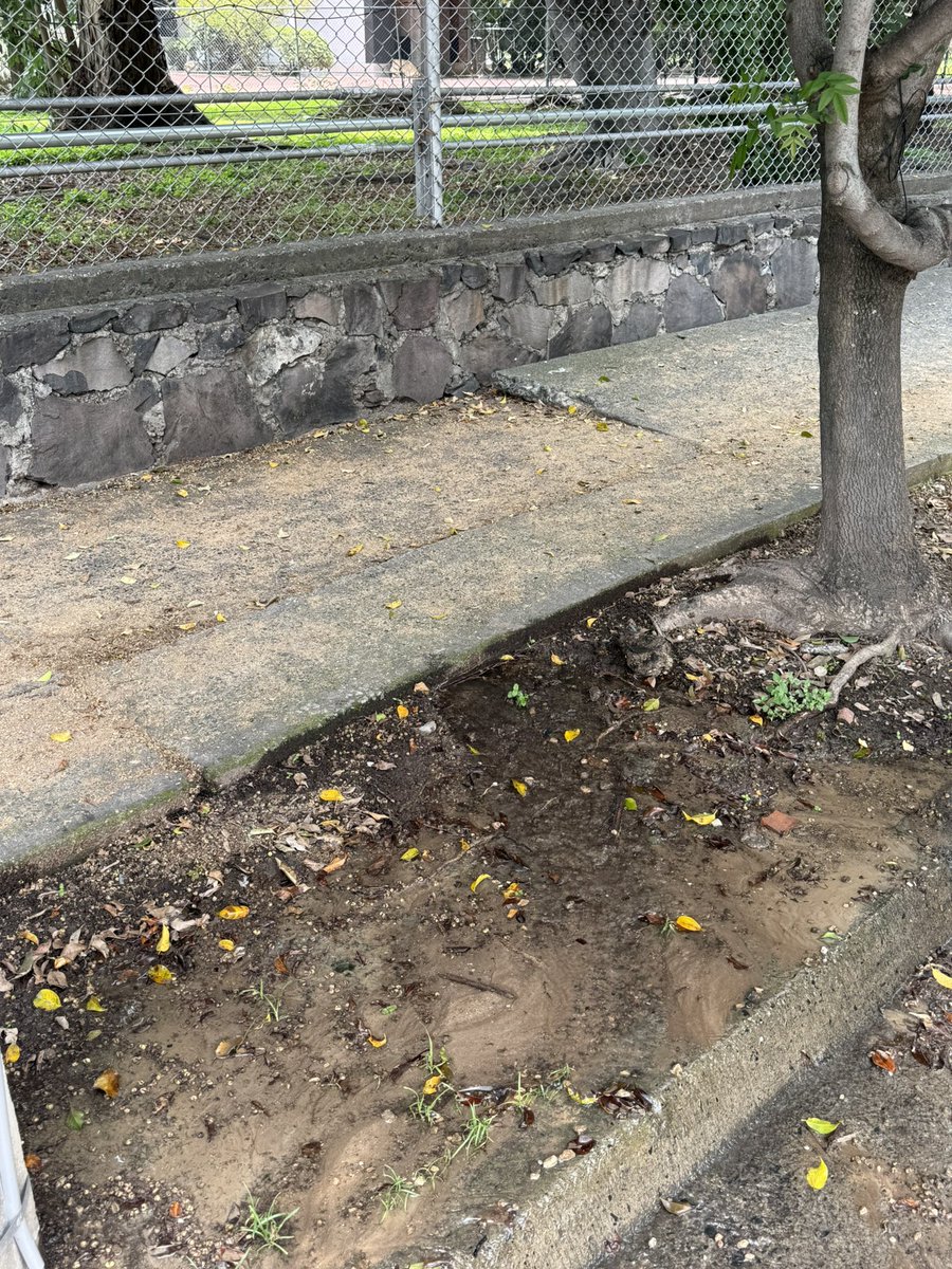 calandriu's tweet photo. @siapagdl Lleva 6 dias tirando agua en col Jardines del Sol en calle Prado de los Cedros y calle Anahuac https://t.co/fq7PorJOpF