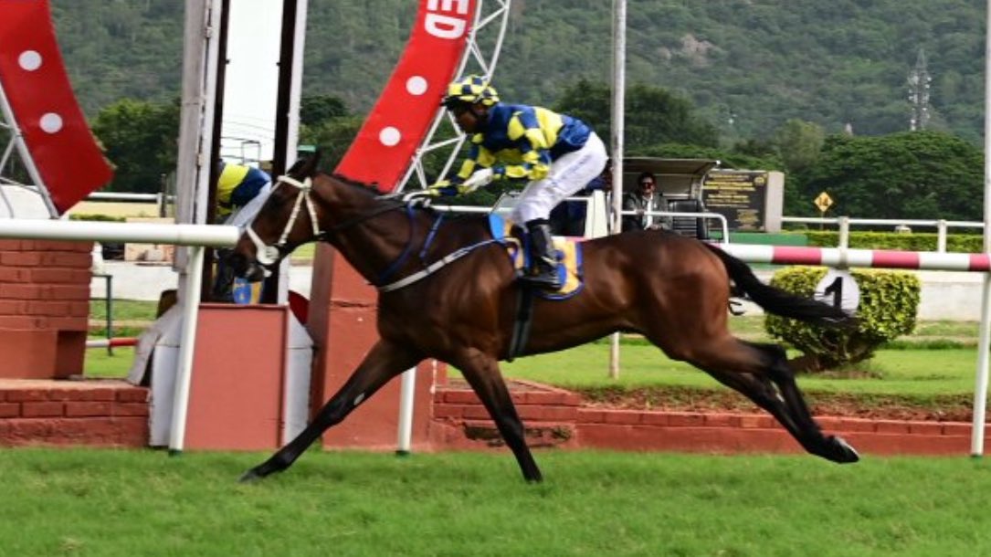 Indiarace.com (@indiaracedotcom) on Twitter photo Gold Empire wins Shri Kanwar Singh Saini-Nambardaar Memorial Colts Trial Stakes
Trained by Rajesh Narredu <a href="/RajeshNarredu/">Rajesh Narredu</a>
Ridden by Suraj Narredu <a href="/Surajsn1/">Suraj Narredu</a> Gold Empire wins Shri Kanwar Singh Saini-Nambardaar Memorial Colts Trial Stakes
Trained by Rajesh Narredu <a href="/RajeshNarredu/">Rajesh Narredu</a>
Ridden by Suraj Narredu <a href="/Surajsn1/">Suraj Narredu</a>