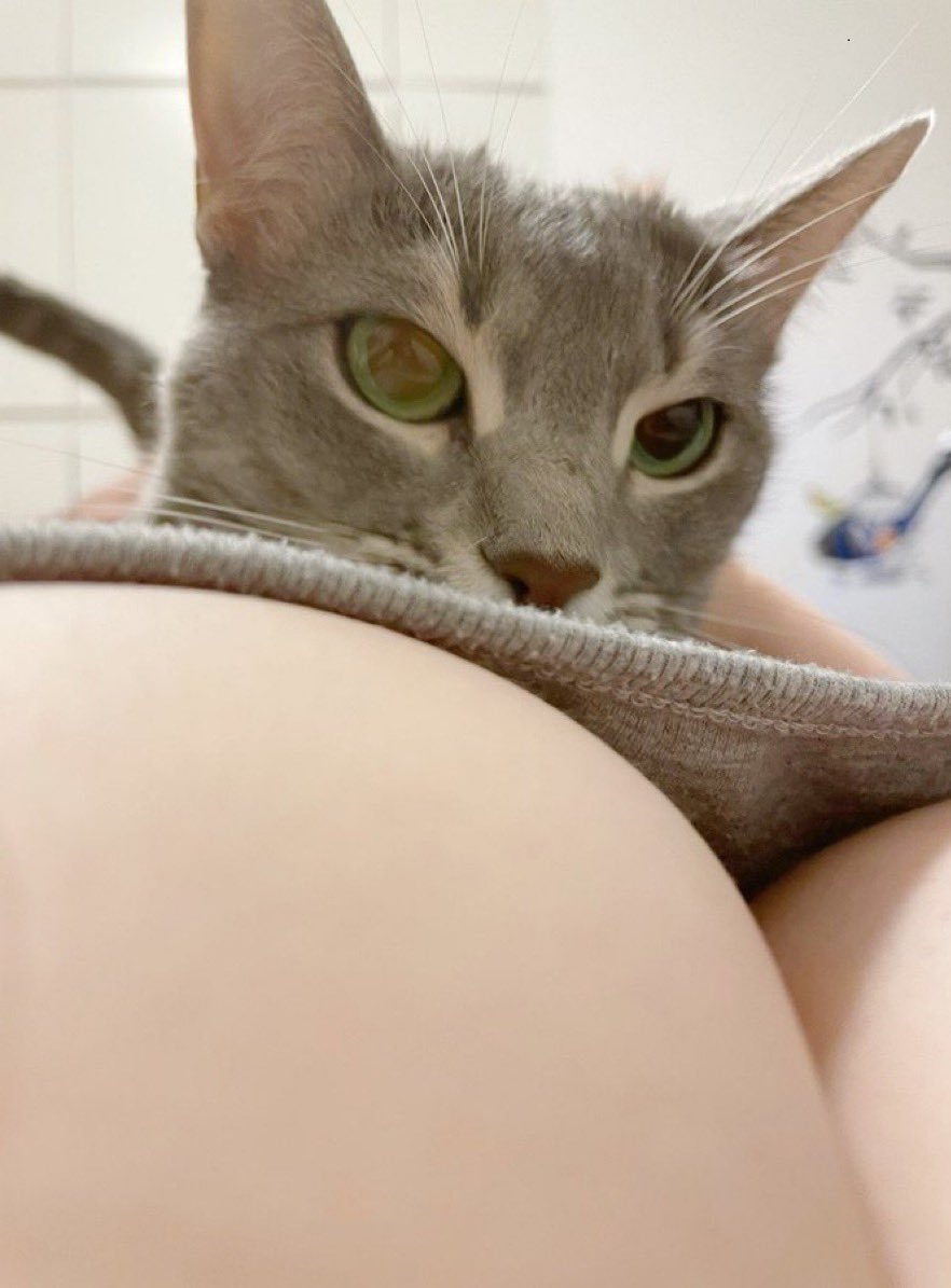 友達の家の🐈️
かわいい♡
#裏アカ男子と繋がりたい