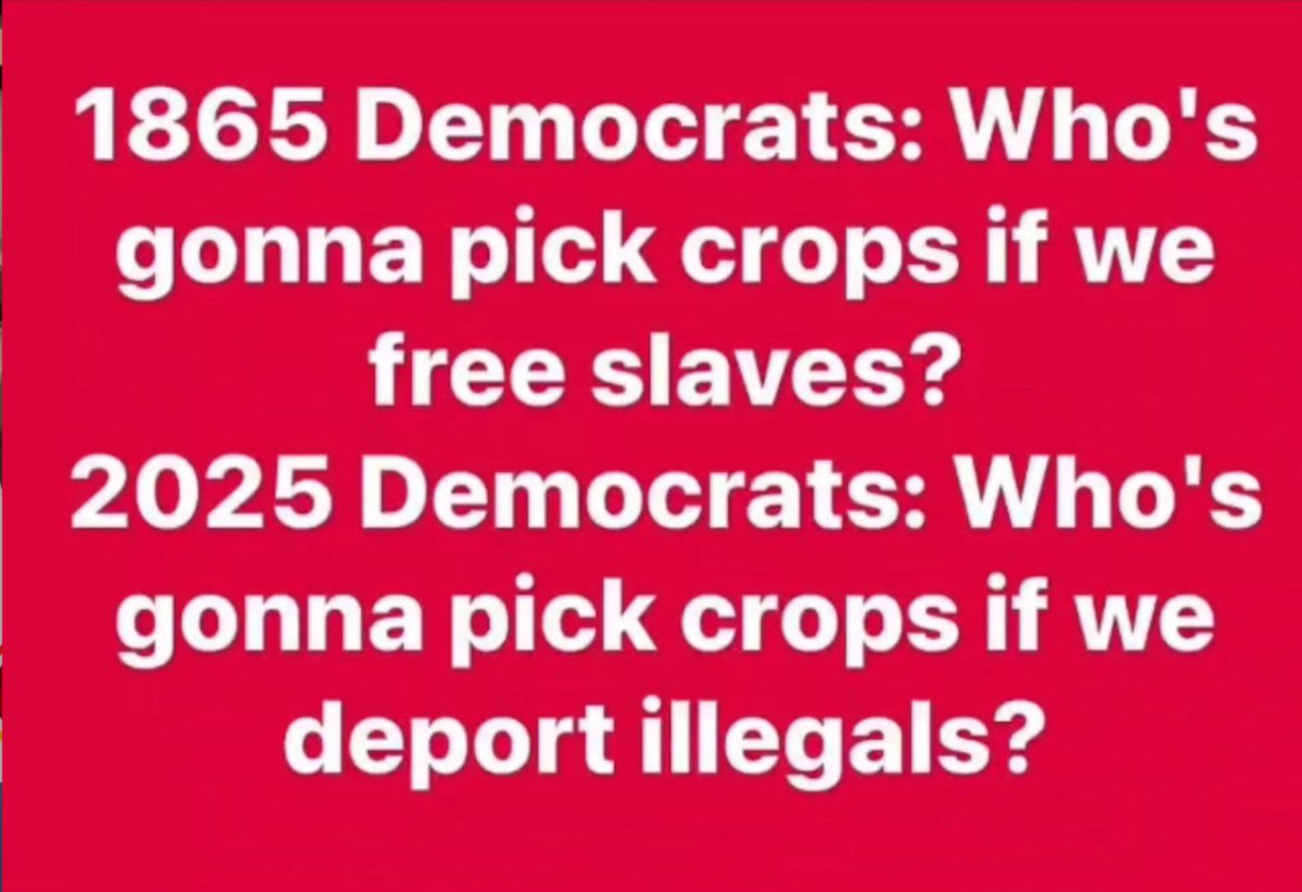 docsmiity12's tweet image. Seriously the Demorats are  brutal