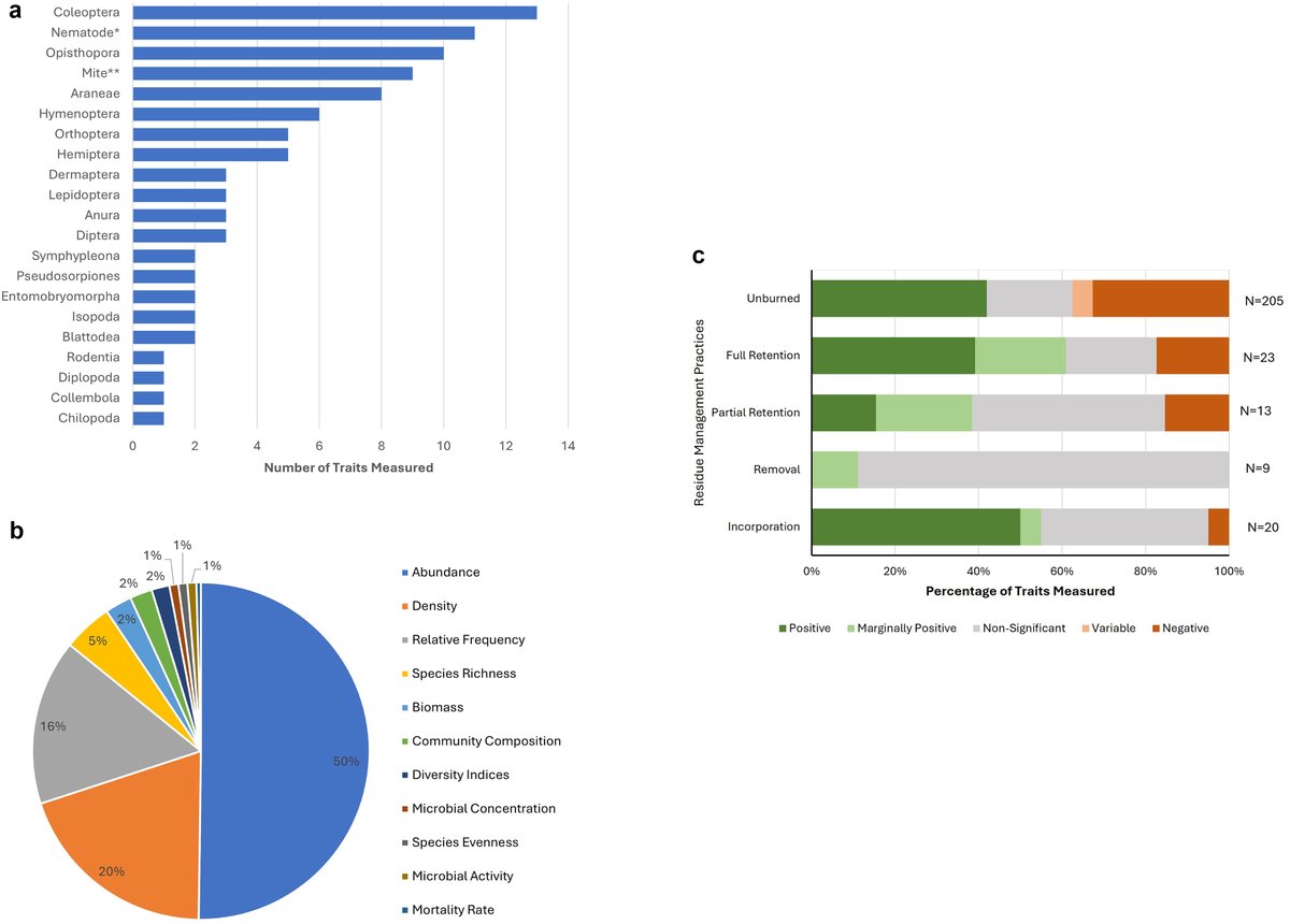 Crop residue burning does more than pollute air-it destroys on-farm biodiversity critical for soil health, pest control&amp;pollination
Our new review in <a href="/SciTotEnv/">Science of the Total Environment</a> calls for policies &amp; carbon markets that reward biodiversity outcomes
sciencedirect.com/science/articl…
<a href="/VijeshKrishna10/">Vijesh Krishna</a> <a href="/CIMMYT/">CIMMYT</a>