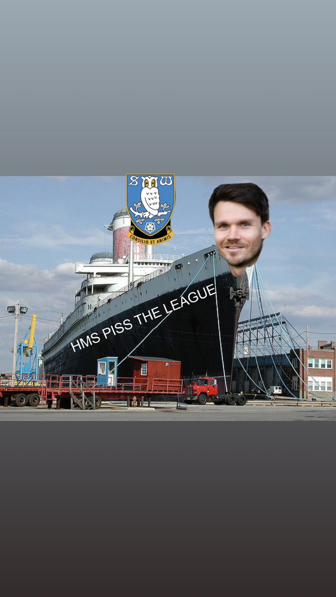 Tom 🦉 tweet media