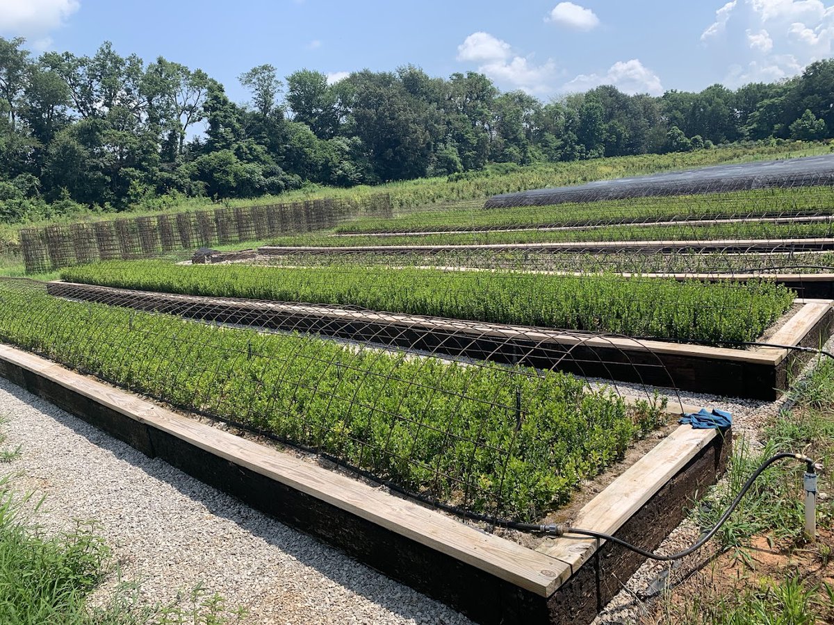 Ranabhat Nar tweet media