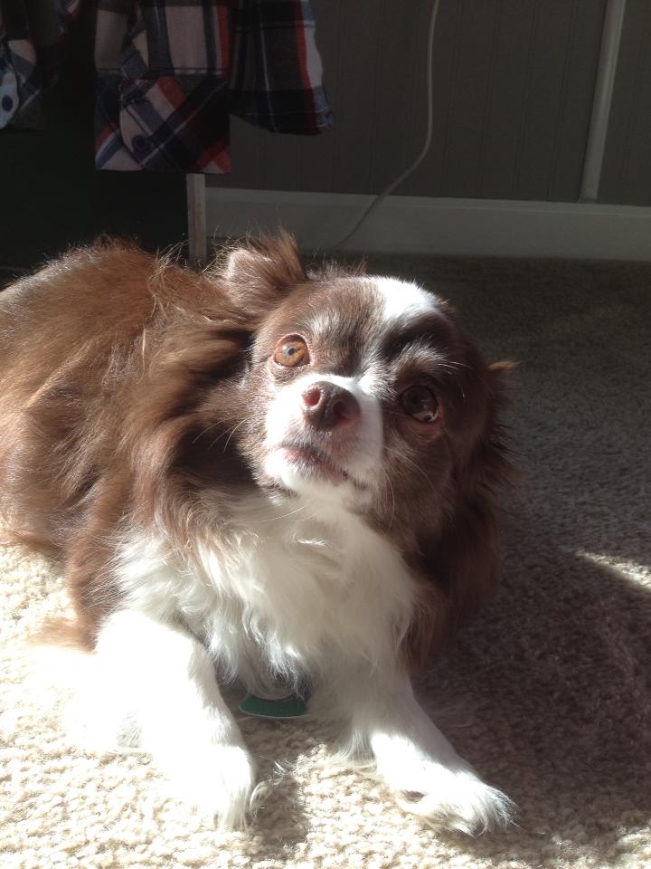 RIP_GRIZZ Grizz is jazzed! He found the new book review of "Braking Point" by Wayne Kerr.
An insider's look at Formula One Racing, race by race!
wordrefiner.com/book-reviews/t…
An exciting story, I loved it!