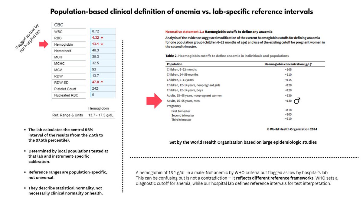 William Aird tweet media