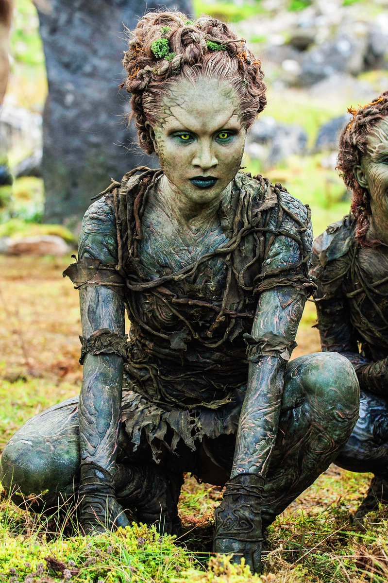 The Children of the Forest