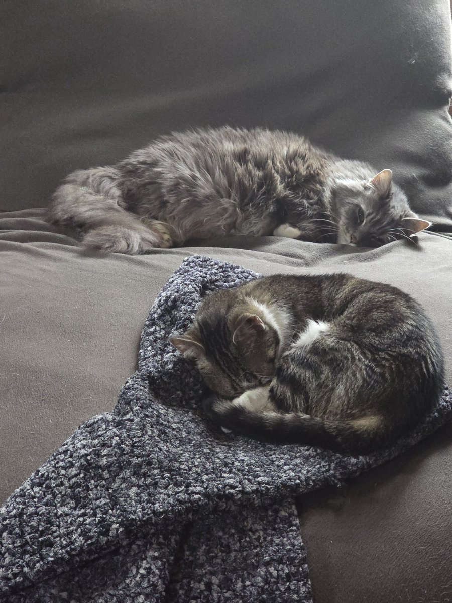 Andy Jax (@andy_jax) on Twitter photo 