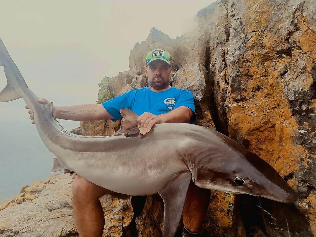 Angling Cymru tweet media