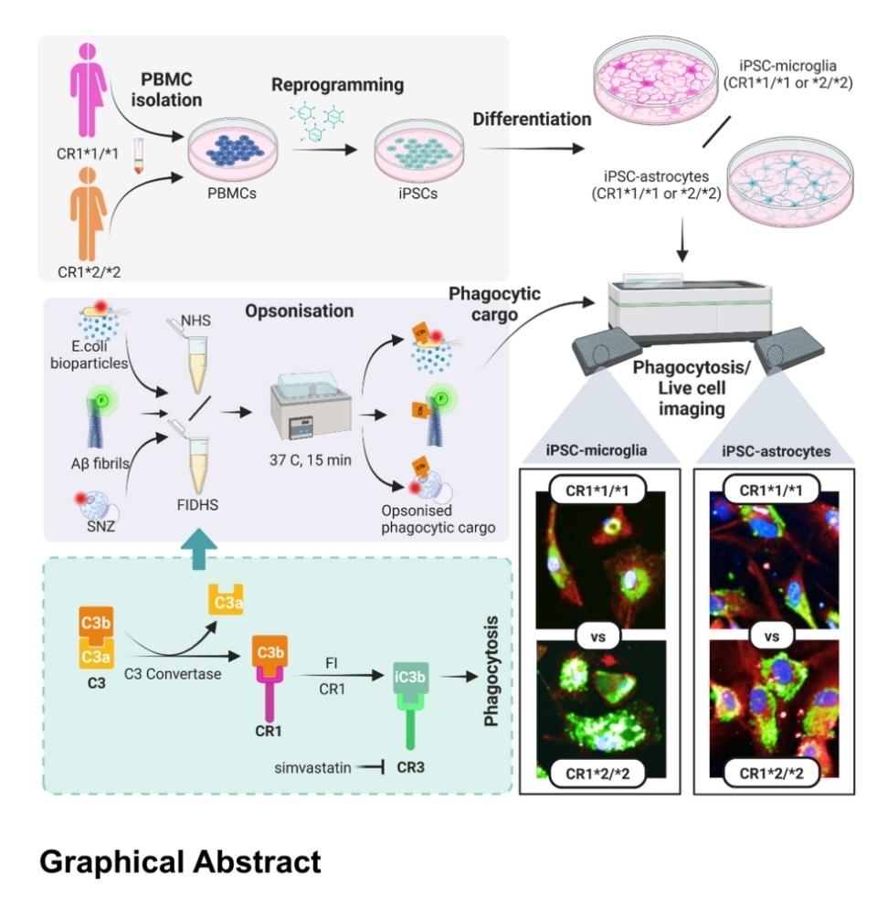 Nikoleta Daskoulidou tweet media
