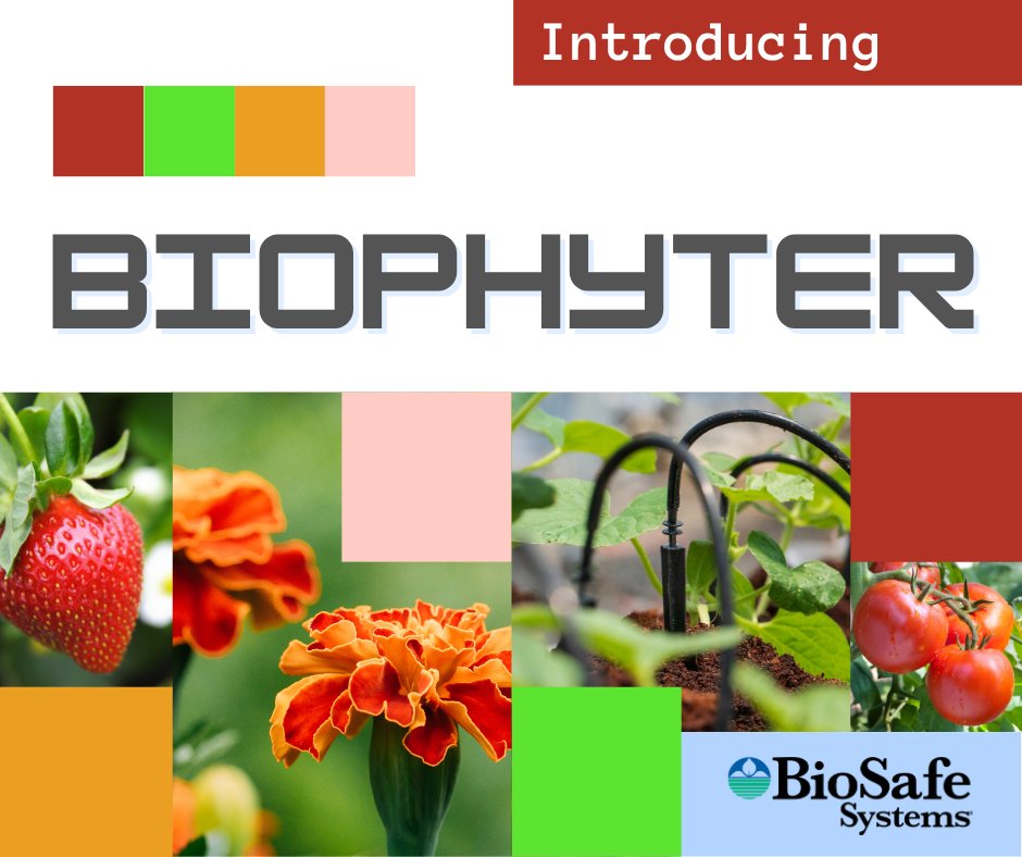BioSafe_Systems's tweet image. biosafesystems.com/news/introduci…
Microbes with a mission! BioSafe Systems is excited to present, BioPhyter - a revolutionary plant-derived 𝘉𝘦𝘢𝘶𝘷𝘦𝘳𝘪𝘢 𝘣𝘢𝘴𝘴𝘪𝘢𝘯𝘢 crop enhancement made to protect plants from root to tip.