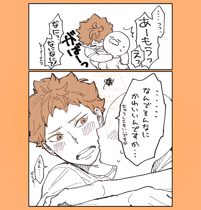 #HQプラス #819プラス (※白ハゲ夢主)
辛抱たまらんくなったショヨサン 