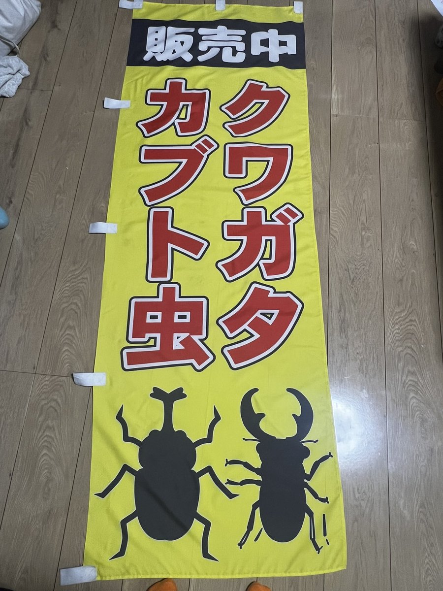 916kudo's tweet photo. 今年初のカブちゃんタマちゃん、冷やし中華ミニの容器w
久しぶりに河川敷3ヶ所見て来ましたが、採集圧、暑さで数頭ほどしかいませんでした、とある林の所有者に許可をとり採集、その代償としてタマちゃんが生贄に‼️ものの数分でノコ40オーバー、死骸は約52くらい
のぼりにアイロンかけましたw察してw https://t.co/EDggZt927k