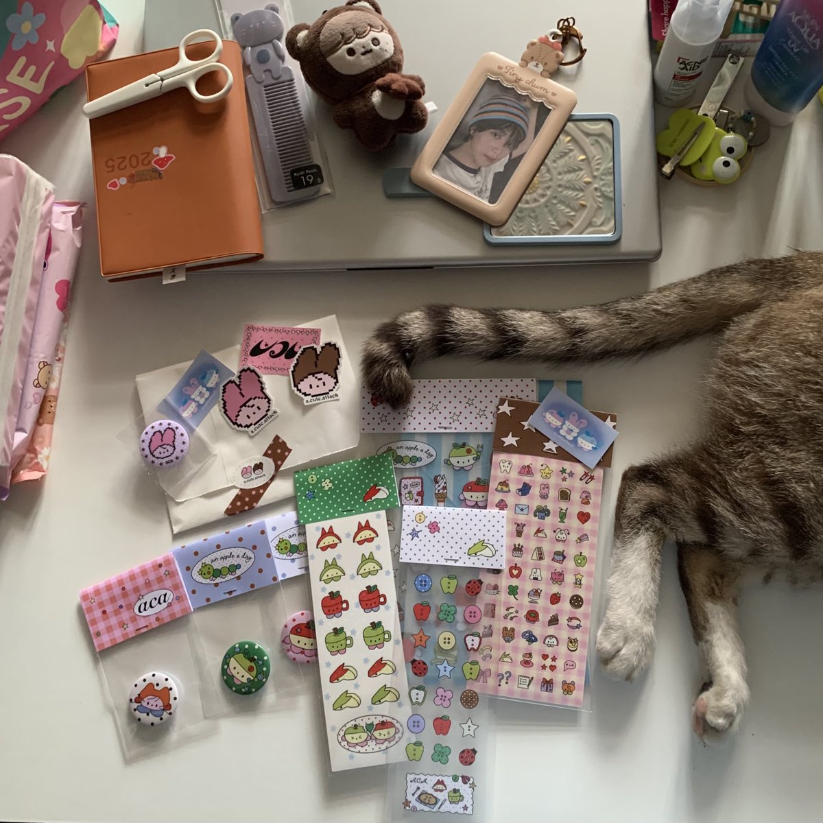 Impikpu1f's tweet photo. knock knock ✊🏼🤍💌💭🫧💖
(^_−)−☆ https://t.co/qSCXDgKe8o