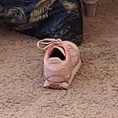 แป๊ดแป้ ❕ tweet media