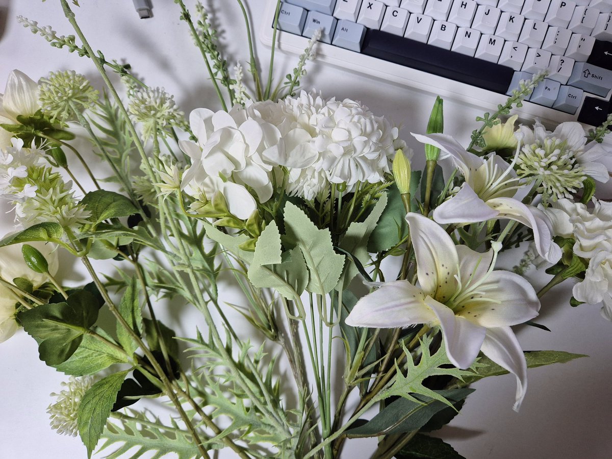 이번 촬영에는 쓸 수 있겠지..?