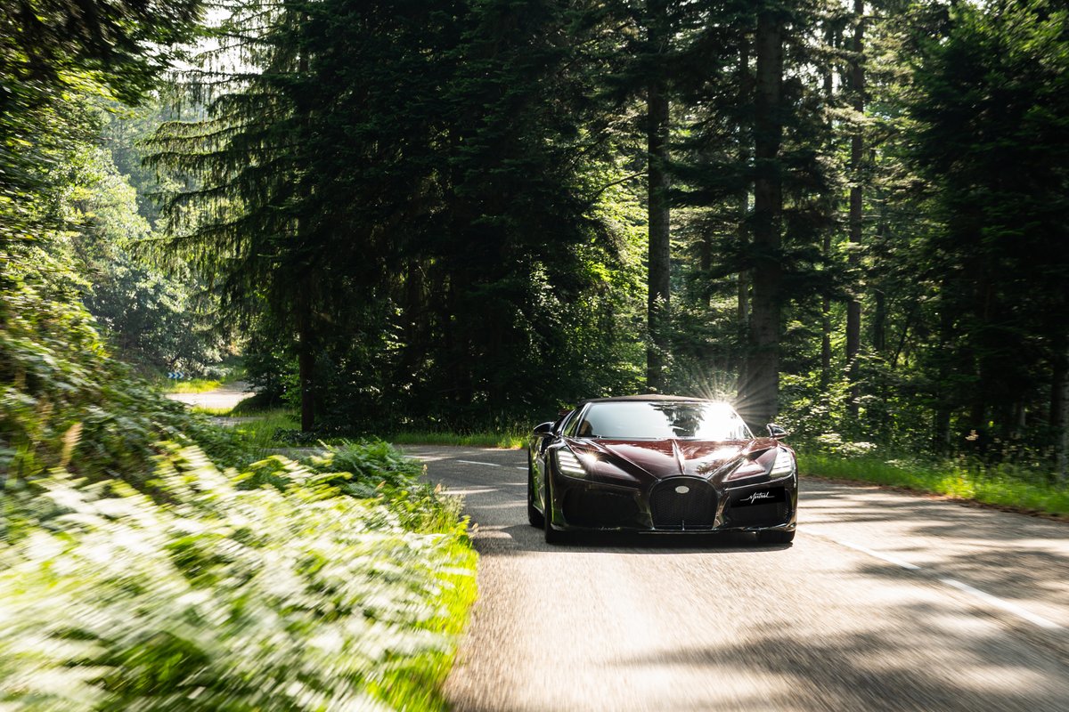 Bugatti's tweet image. Born in Alsace. Inspired by Alsace.
BUGATTI’s W16 MISTRAL, the ultimate roadster, on a road trip through the villages, vineyards and mountains of its homeland.
#BUGATTI #W16MISTRAL #BUGATTIMistral
–
bugatti.link/consumption