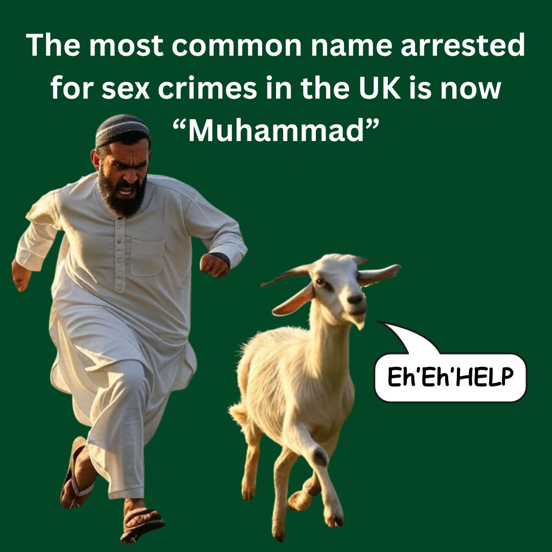 🤣🤣🤣🤣🤣