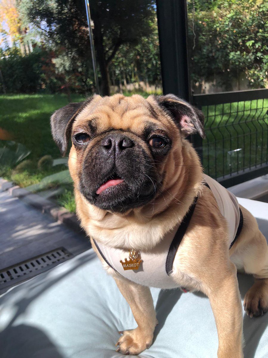 2019-2025 benkleywliiiim de geçvsin yıllar dötümüzde avarsın kıllaaar