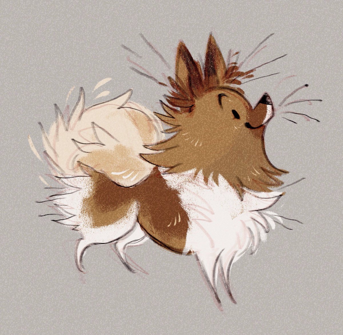 Laika the pom!