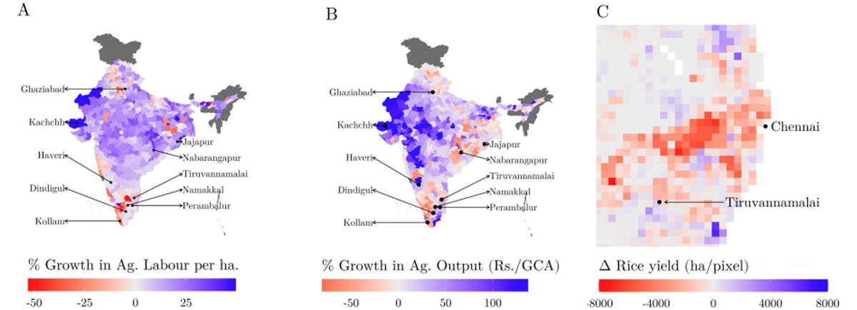 YaleEGC's tweet image. 🌏 While migrants and their urban destinations are extensively studied, less is known about how their departure transforms the rural economies they leave behind.
📊 In @Ideas4India, EGC affiliate Mushfiq Mobarak & coauthors dig deeper.
📚 Read more: egc.yale.edu/news/250618/in…