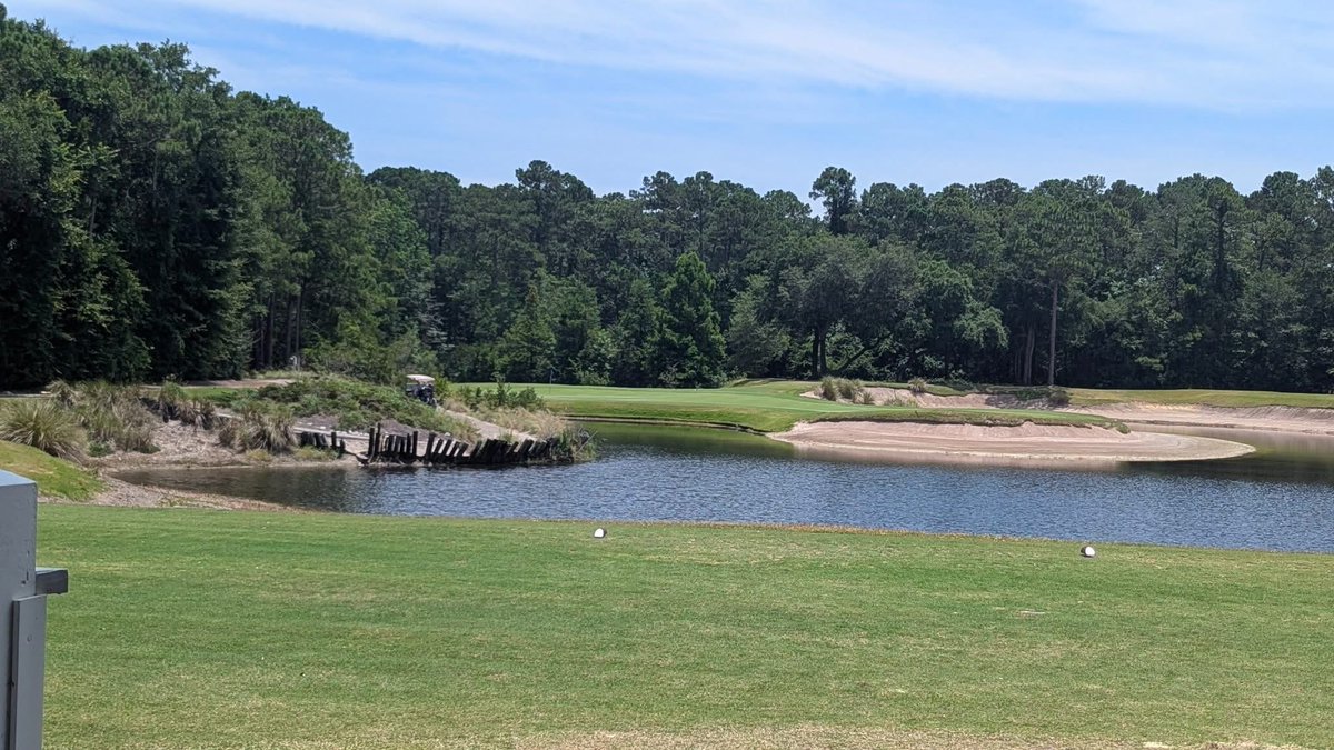 TrueBlueGolf's tweet image. Summer ⛳️ is 😎 @PlayGolfMB @HammockCoastSC  #MikeStrantzDesign