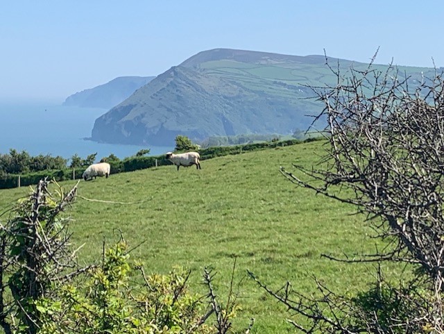 IlfracombeGolf's tweet photo. 📣Probably the most attractive golf course in the South West 👍
⛳ Come down and give us your opinion🏌️♂️💚
🎯 Amazing views
🎯 A warm and friendly atmosphere
🎯 Open year-round
🎯 Very affordable rates
📷Jean Wills
#GolfNorthDevon #GolfCourseViews #IlfracombeGolfClub https://t.co/Zh1lDX6B6H