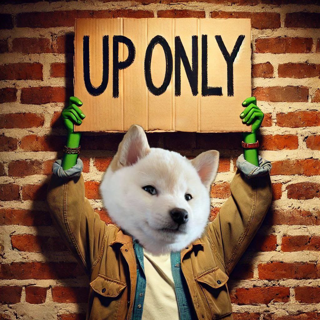 Every cycle has that one coin.
The one that looked like a joke at first.
The one people ignored at Low MC.
The one that printed millionaires while others watched in disbelief.

This cycle, that coin is #GNOCCHI.
Not some VC pump. Not a stealth rug.
Just a pure meme, born from a