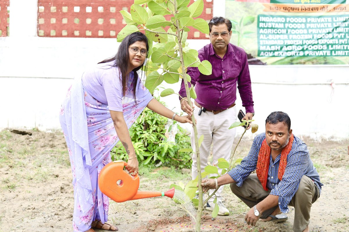 kanchdixit's tweet photo. Plantation was done successfully at Trans Ganga City, UPSIDA !

#EkPedMaaKeNaam 
#plantatdrive 
@UPGovt https://t.co/S5GJUxKSGo