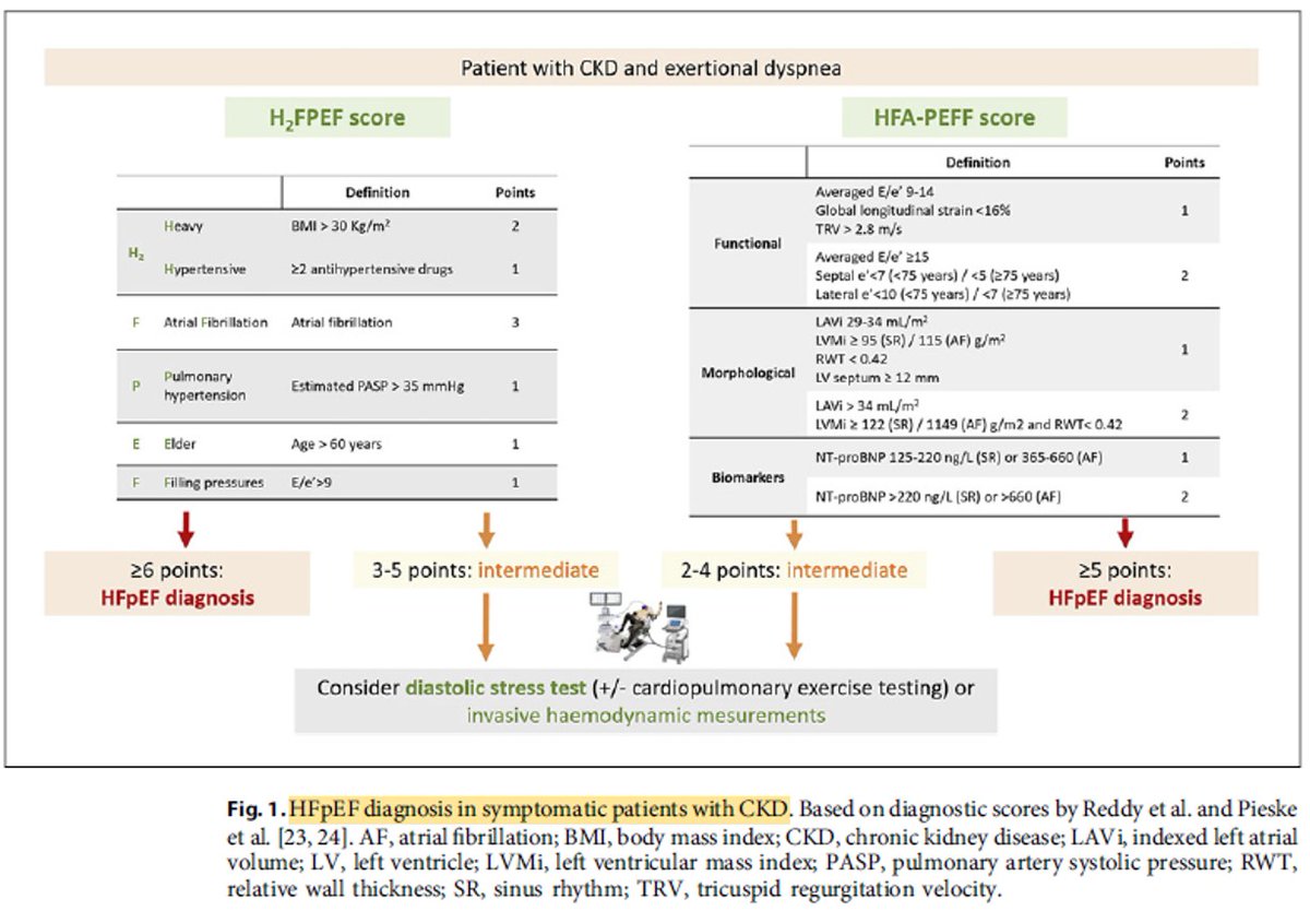 Doctor_Stewie's tweet photo. Falla🫀FEVI preservada + ERC 🫘
#Nephpearls #MedTwitter
#MedEd

✔️Scores diagnósticos en sintomáticos. ⬆️ puntos corte proBNP según eTFG
✔️Screening asintomáticos, es decir ptes estadio A 
✔️Recomendaciones tratamiento 🔝

👀👇🏼✍️🏽🔝

Núñez-Marin et al. Cardiorenal Medicine. 2025 https://t.co/fhUgWnoIXq