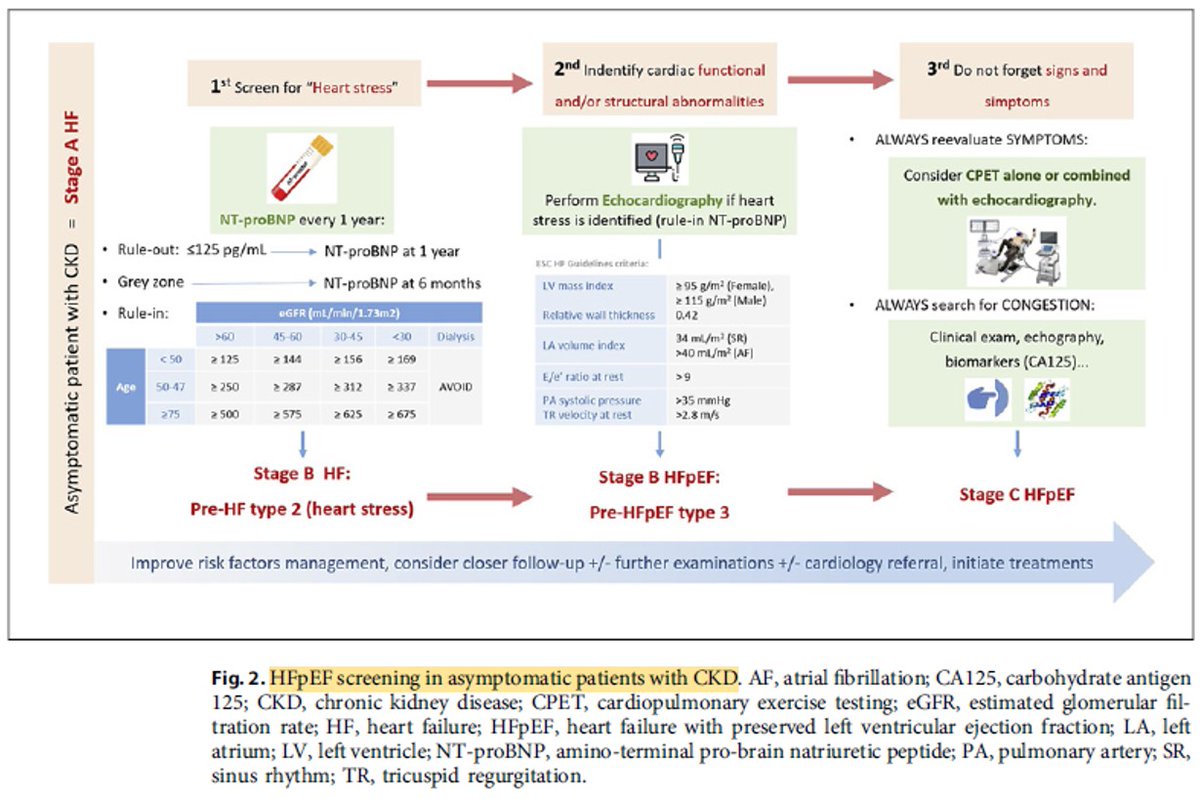 Doctor_Stewie's tweet photo. Falla🫀FEVI preservada + ERC 🫘
#Nephpearls #MedTwitter
#MedEd

✔️Scores diagnósticos en sintomáticos. ⬆️ puntos corte proBNP según eTFG
✔️Screening asintomáticos, es decir ptes estadio A 
✔️Recomendaciones tratamiento 🔝

👀👇🏼✍️🏽🔝

Núñez-Marin et al. Cardiorenal Medicine. 2025 https://t.co/fhUgWnoIXq