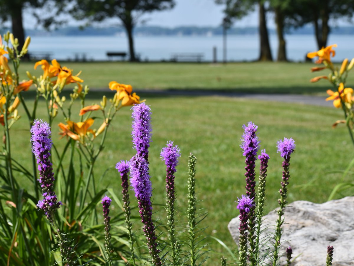 LakeCampus's tweet photo. These are the days! 🌞 🌊 🌸 #summer https://t.co/HeZRFSdXuT