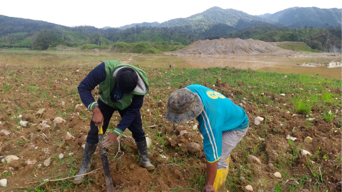 MgsNestorBravo's tweet photo. En Ecuador existen proyectos mineros que combinan exploración con responsabilidad ambiental y social. Por ejemplo, iniciativas impulsadas por comunidades Shuar han beneficiado a más de 450 personas y articulado sus valores socioculturales y ecológicos https://t.co/qvP1dBSPGp