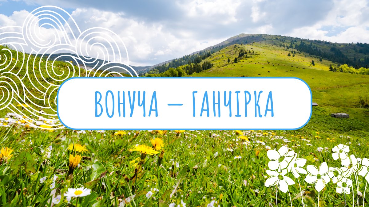 які знаєте ще варіації цього слова?