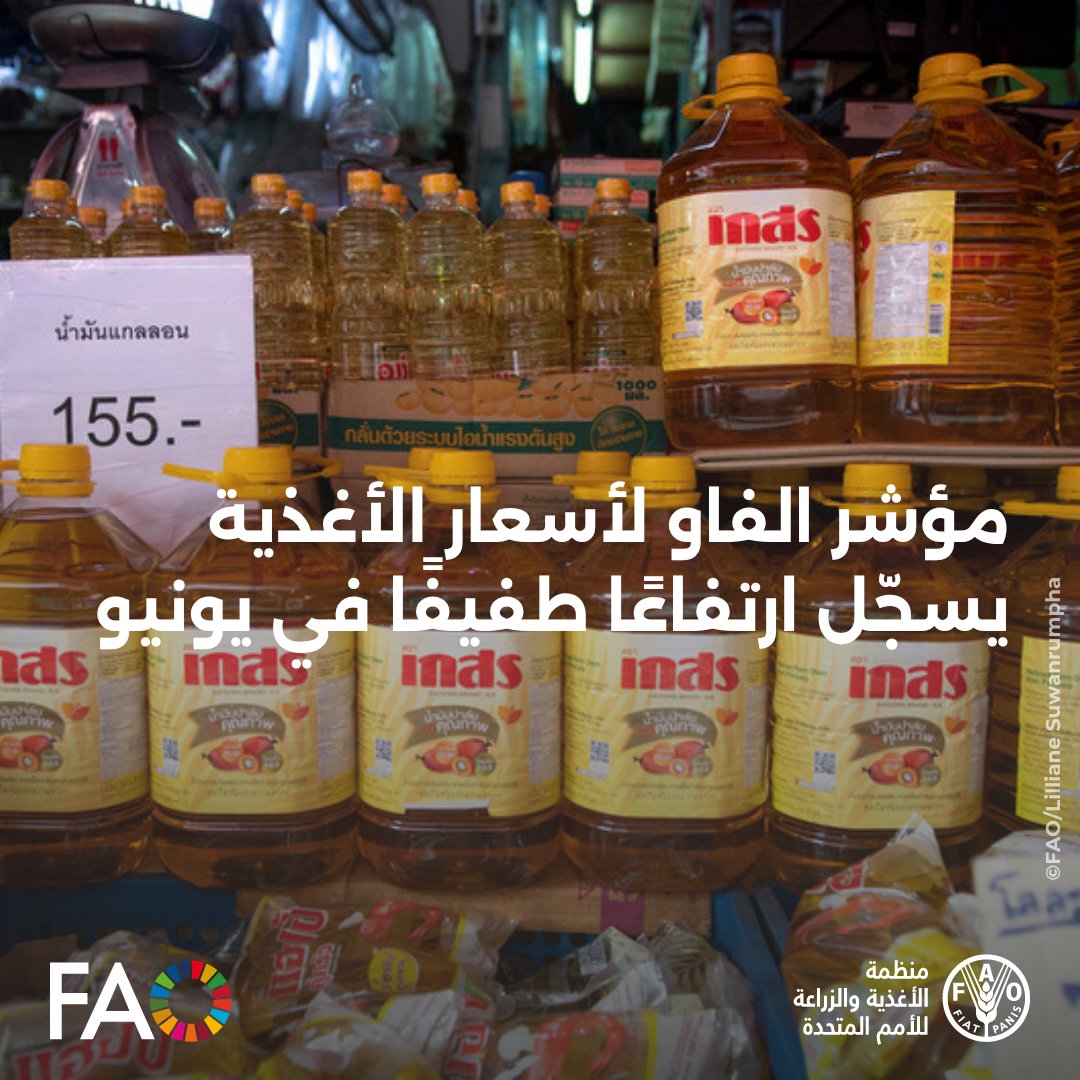 الفاو بالعربي (@faoarabic) on Twitter photo بلغ متوسط مؤشر أسعار الغذاء التابع لـ <a href="/FAO/">Food and Agriculture Organization</a> 128.0 نقطة في يونيو، بزيادة 0.5% عن مايو، حيث عوّض ارتفاع أسعار منتجات الألبان واللحوم والزيوت النباتية انخفاض أسعار الحبوب والسكر.
من المتوقع أن يصل الإنتاج العالمي من الحبوب إلى مستوى قياسي في 2025/2026.
🔗 bit.ly/44U0BLi بلغ متوسط مؤشر أسعار الغذاء التابع لـ <a href="/FAO/">Food and Agriculture Organization</a> 128.0 نقطة في يونيو، بزيادة 0.5% عن مايو، حيث عوّض ارتفاع أسعار منتجات الألبان واللحوم والزيوت النباتية انخفاض أسعار الحبوب والسكر.
من المتوقع أن يصل الإنتاج العالمي من الحبوب إلى مستوى قياسي في 2025/2026.
🔗 bit.ly/44U0BLi