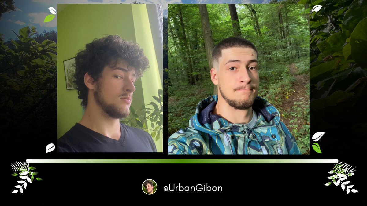 Urban Gibon tweet media