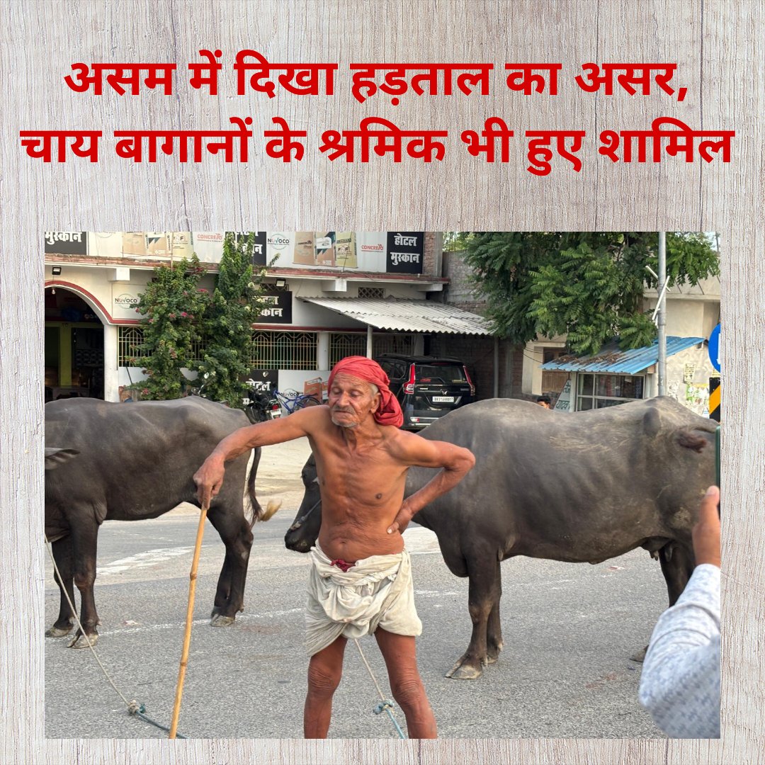 roysudipta385's tweet photo. Breaking: असम में दिखा हड़ताल का असर, चाय बागानों के श्रमिक भी हुए शामिल

#DecadeofBaahubaliReign #DelhiRains #SOS2 #TimeToGoRR #ByeByeStalin https://t.co/vdyNHCre7p