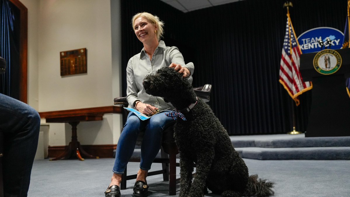 Winnie thinks every day is 'take your dog to work day.'