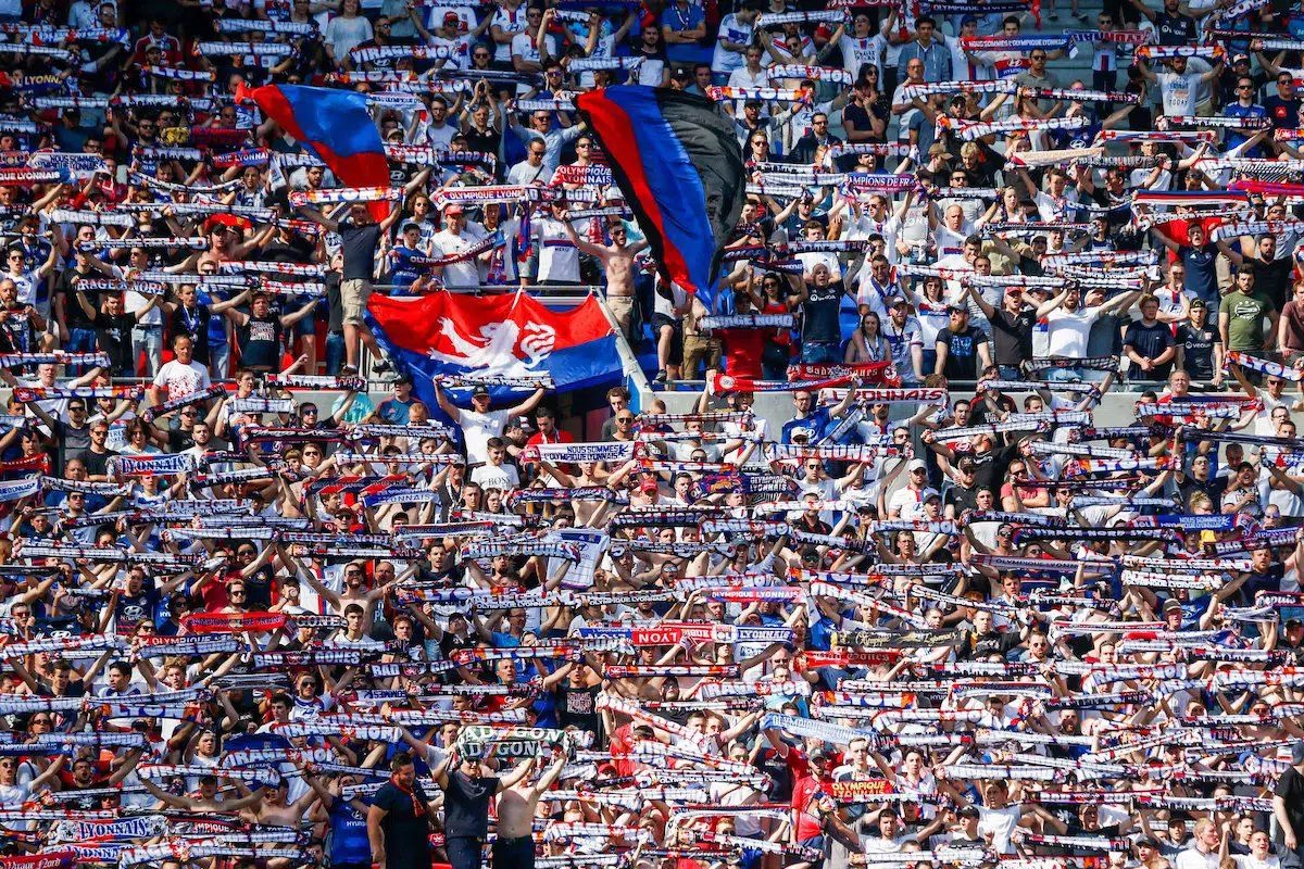 🦁 ❤️💙