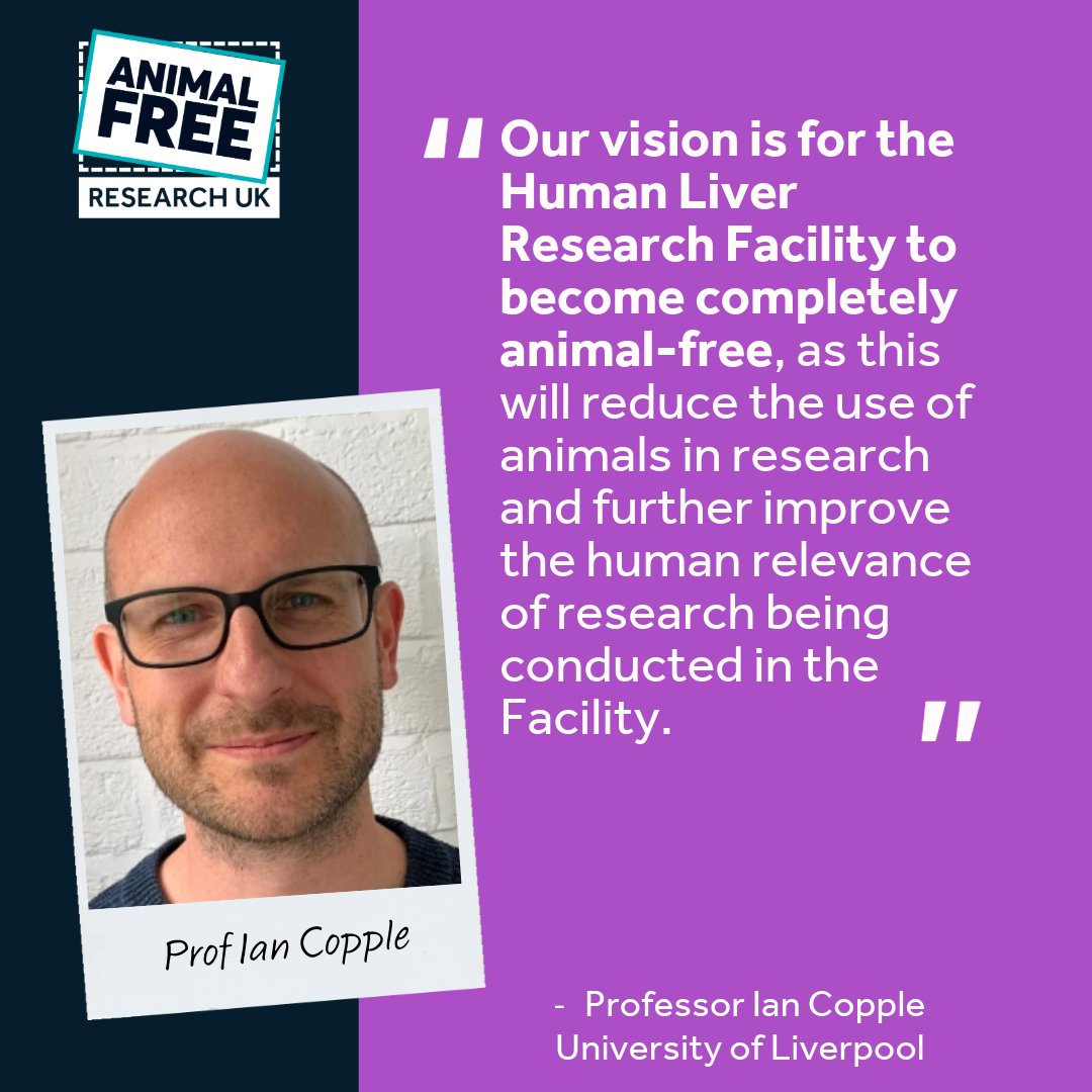 AFR_UK's tweet image. Meet Prof Ian Copple from @livuni 👋 He’s leading the charge to make liver research fully animal-free – replacing foetal calf serum with kinder, more reliable alternatives.
Ian's setting the standard for ethical science!
animalfreeresearchuk.org/project/get-to…
#KinderScience #BrighterFuture