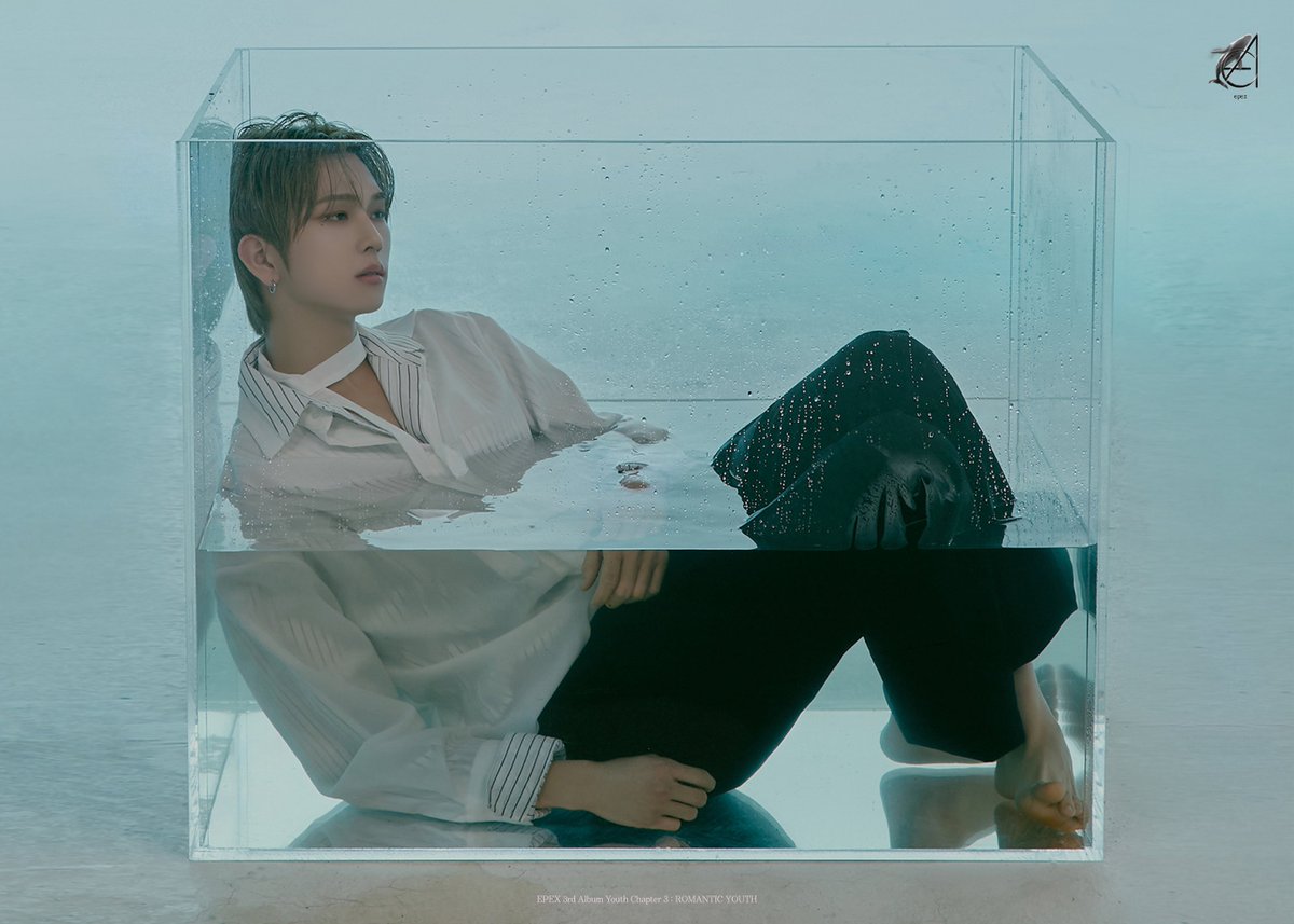 EPEX Official tweet media